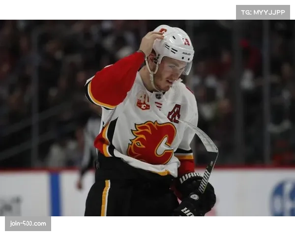 圣何塞鲨鱼主场以2比1险胜温尼伯喷气机 拿下关键积分